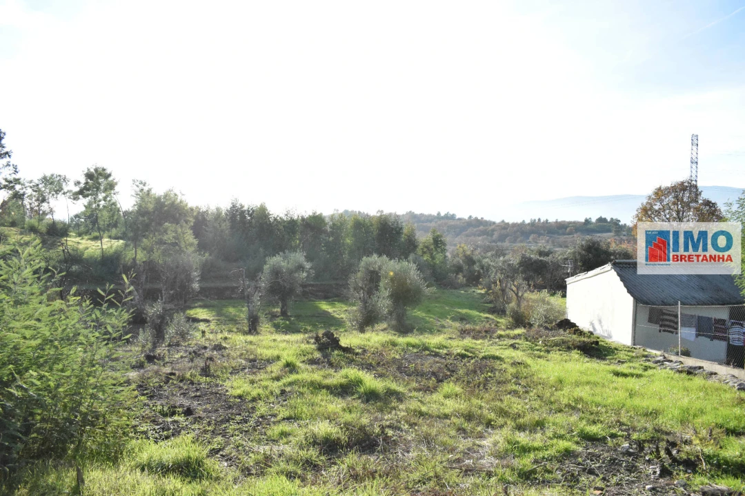 Quinta T0 para Venda em Peraboa Foto 7