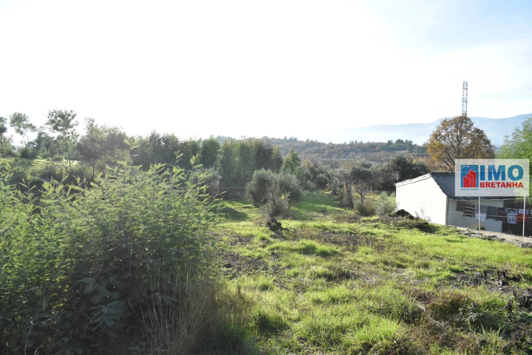 Quinta T0 para Venda em Peraboa Foto 9