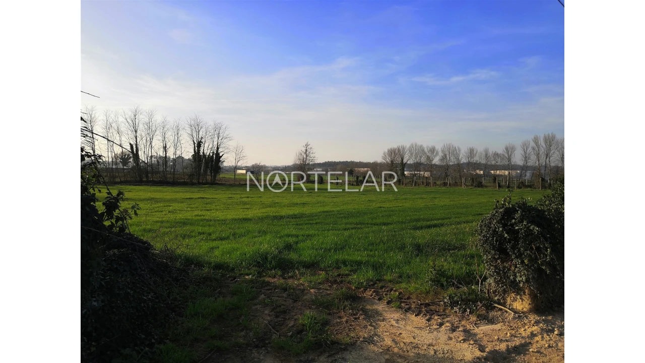 Terreno Agricola ou Rústico para Venda em Bougado (São Martinho e Santiago) Foto 3