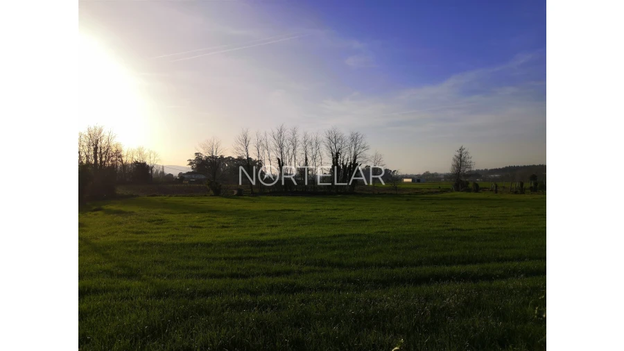 Terreno Agricola ou Rústico para Venda em Bougado (São Martinho e Santiago) Foto 5