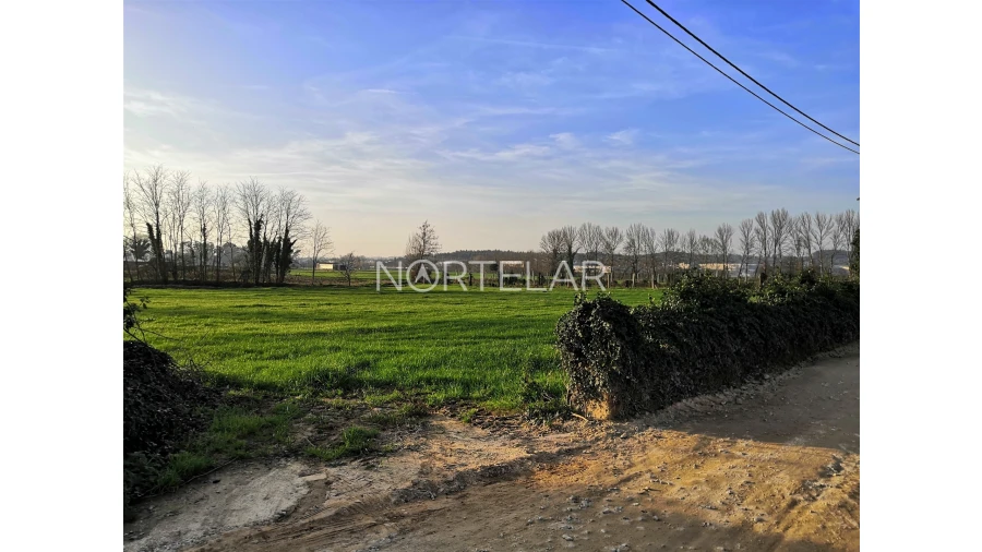 Terreno Agricola ou Rústico para Venda em Bougado (São Martinho e Santiago) Foto 4