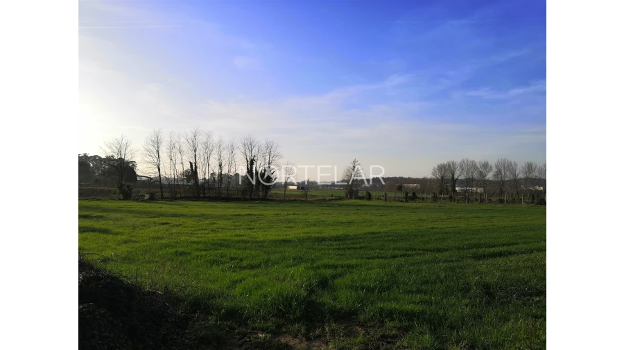 Terreno Agricola ou Rústico para Venda em Bougado (São Martinho e Santiago) Foto 2