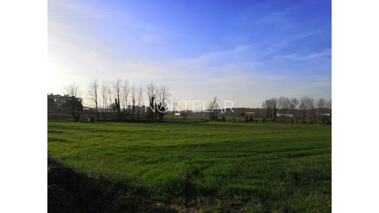 Terreno Agricola ou Rústico para Venda em Bougado (São Martinho e Santiago) Foto 2