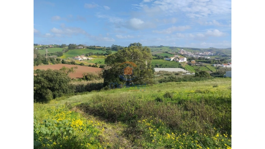 Terreno para Venda em Azueira e Sobral da Abelheira Foto 6