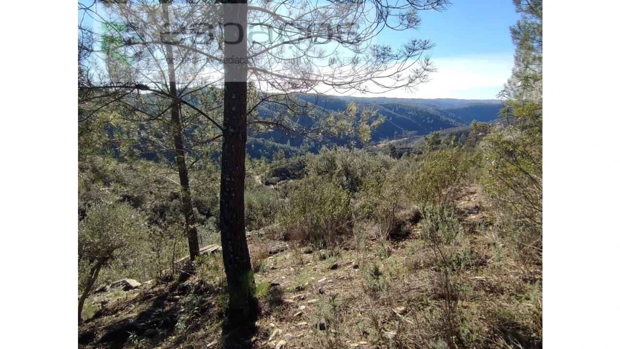 Terreno Agricola ou Rústico para Venda em Castelo Branco Foto 1