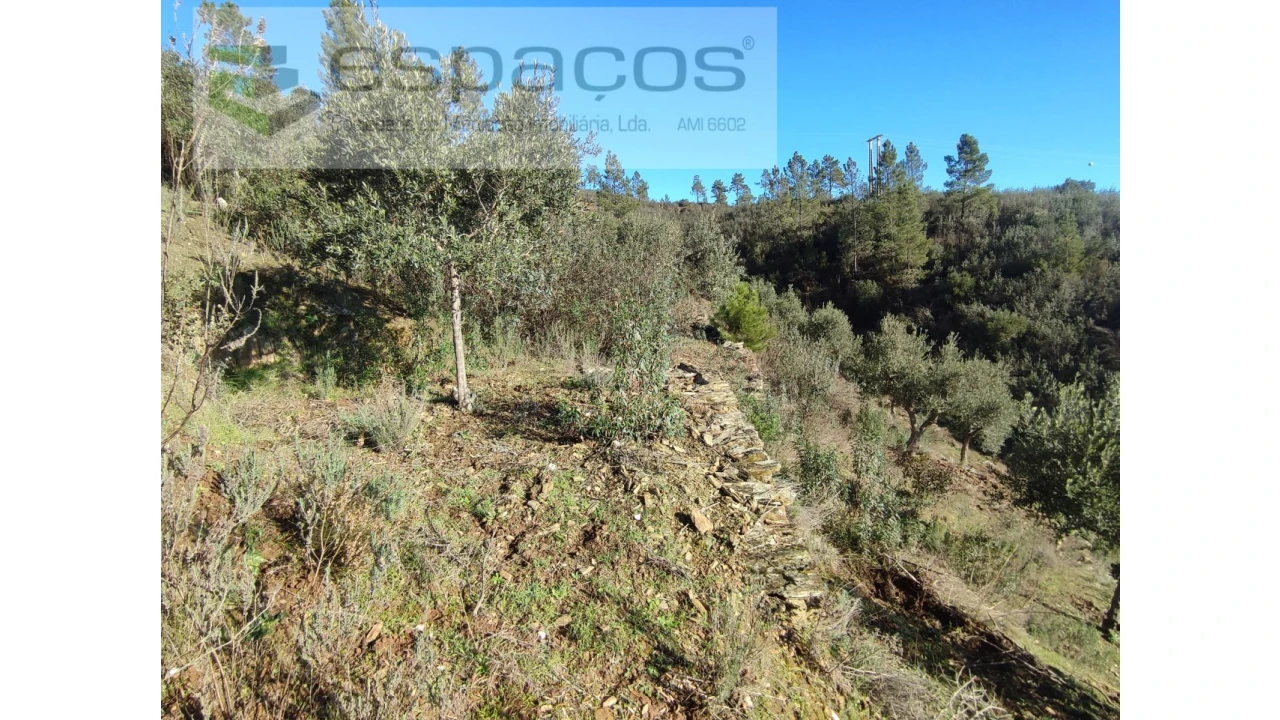 Terreno Agricola ou Rústico para Venda em Castelo Branco Foto 7