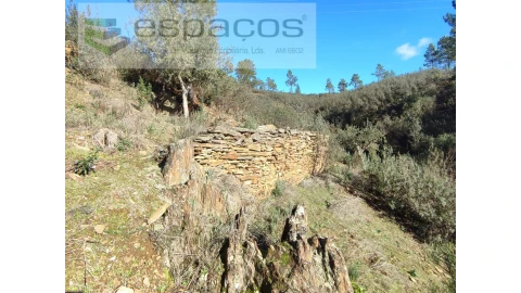 Terreno Agricola ou Rústico para Venda em Castelo Branco