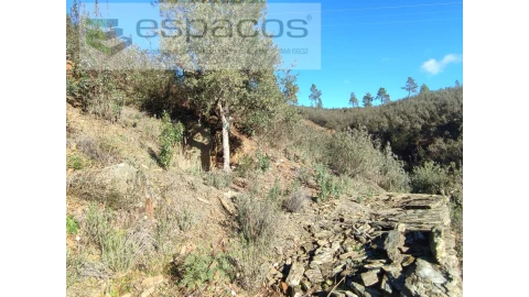 Terreno Agricola ou Rústico para Venda em Castelo Branco