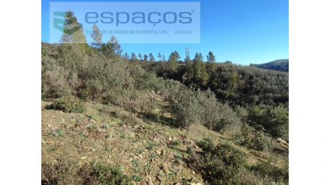 Terreno Agricola ou Rústico para Venda em Castelo Branco