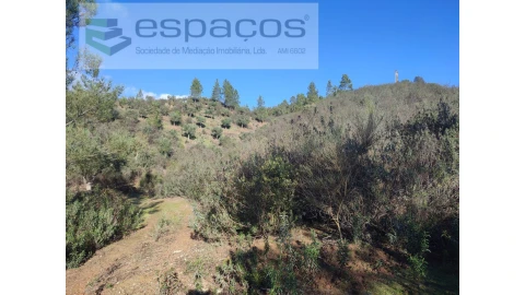 Terreno Agricola ou Rústico para Venda em Castelo Branco