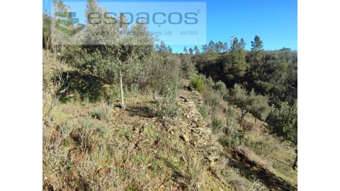 Terreno Agricola ou Rústico para Venda em Castelo Branco