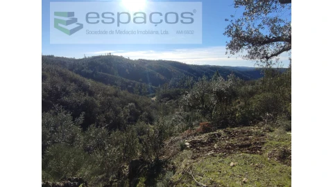 Terreno Agricola ou Rústico para Venda em Castelo Branco