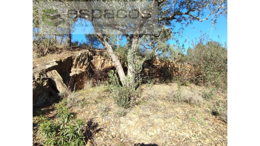 Terreno Agricola ou Rústico para Venda em Castelo Branco Foto 3