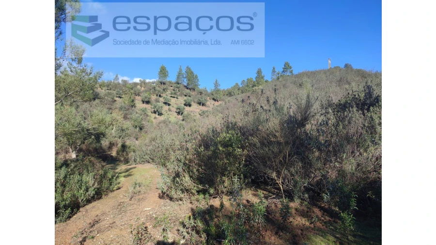 Terreno Agricola ou Rústico para Venda em Castelo Branco Foto 6