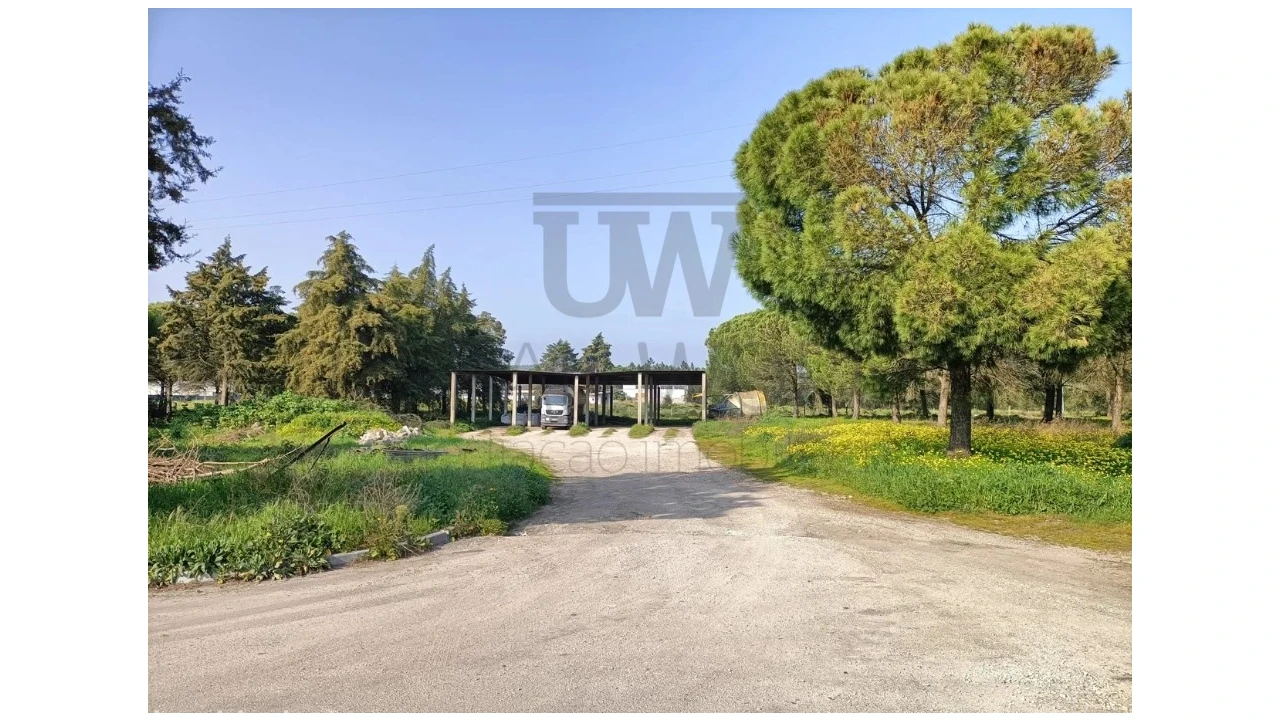 Armazém para Venda em Montalvo Foto 4