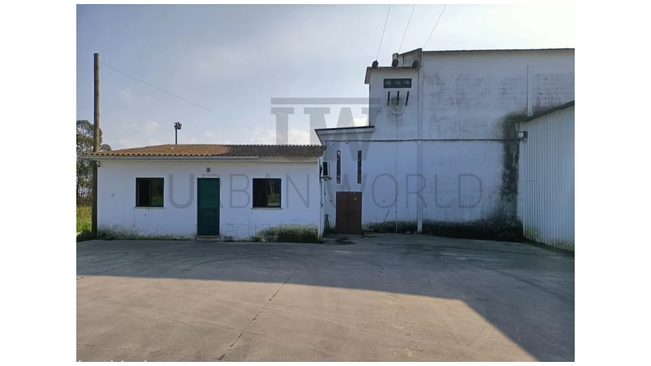 Armazém para Venda em Montalvo Foto 8