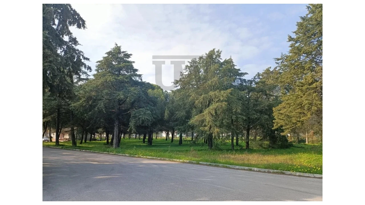 Armazém para Venda em Montalvo Foto 14