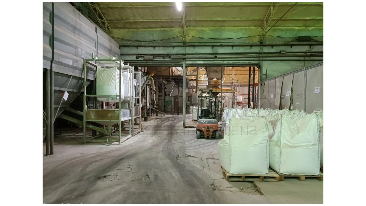 Armazém para Venda em Montalvo Foto 15