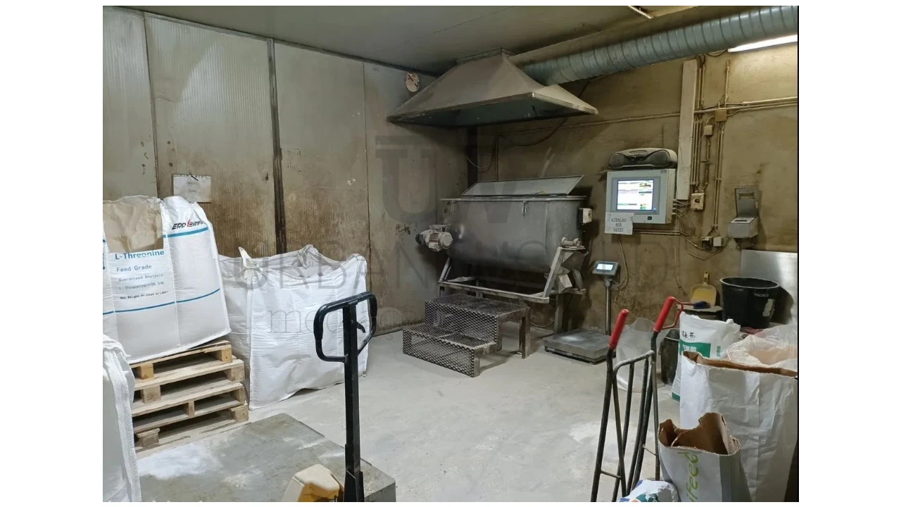 Armazém para Venda em Montalvo Foto 16