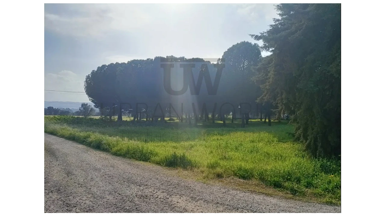 Armazém para Venda em Montalvo Foto 17