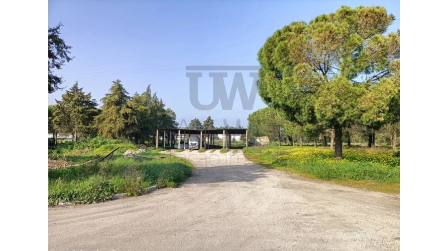 Armazém para Venda em Montalvo Foto 4