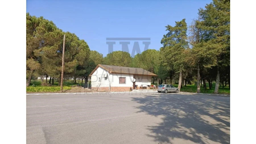 Armazém para Venda em Montalvo Foto 5