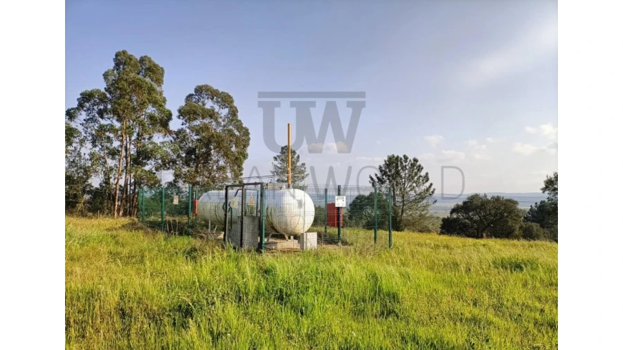 Armazém para Venda em Montalvo Foto 10