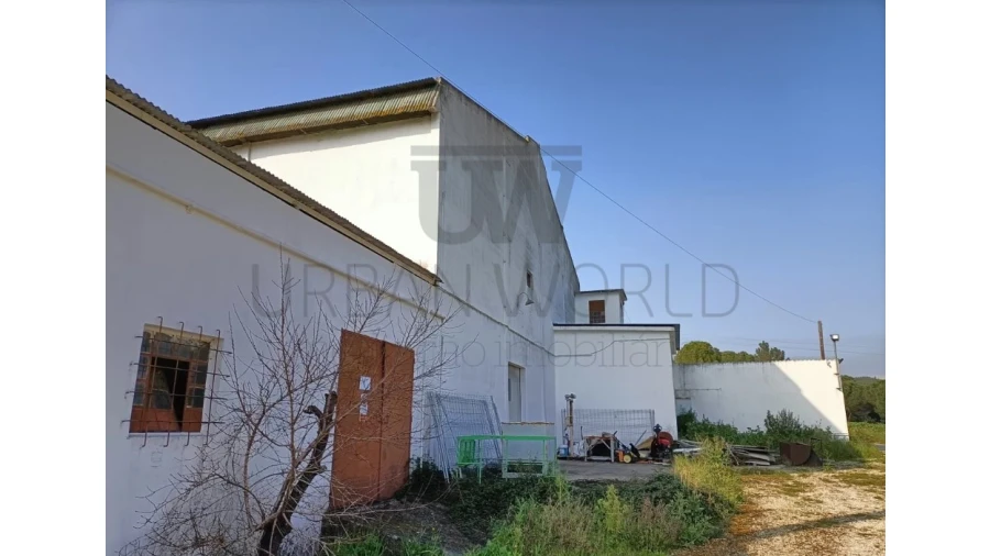 Armazém para Venda em Montalvo Foto 13