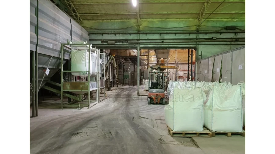 Armazém para Venda em Montalvo Foto 15