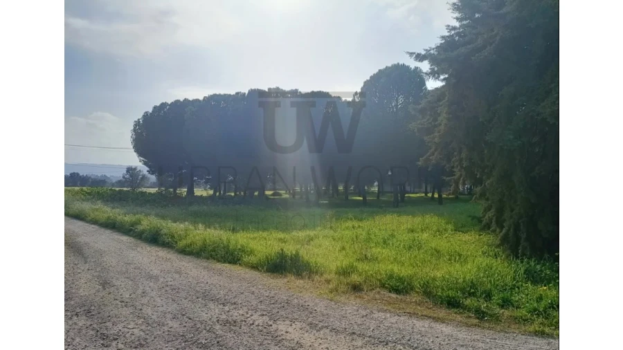 Armazém para Venda em Montalvo Foto 17