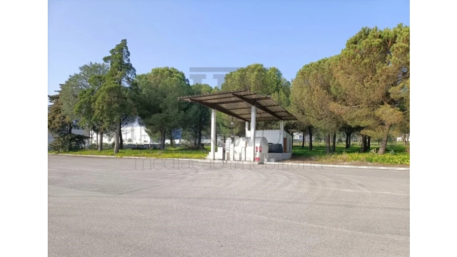 Armazém para Venda em Montalvo Foto 18