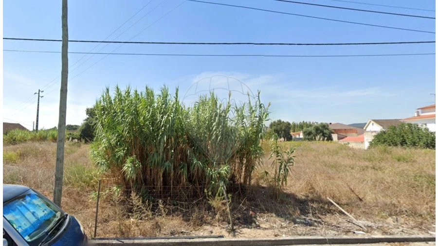 Terreno para Venda em Rio Maior Foto 4