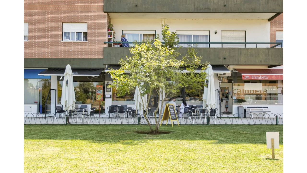 Negócio para Venda em Tamengos, Aguim e Óis do Bairro Foto 17