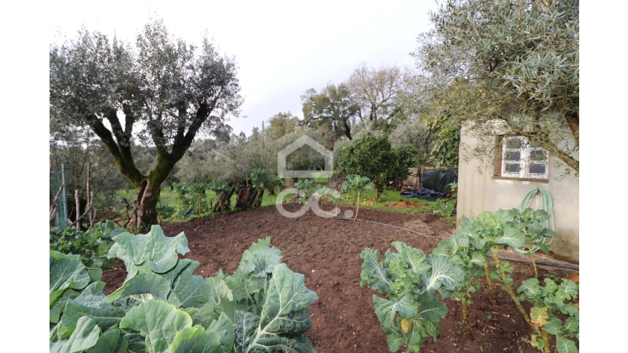 Moradia T2 para Venda em Avelar Foto 18