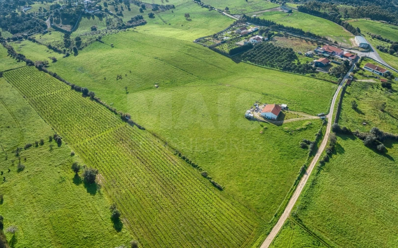 Terreno para Venda em Pontevel Foto 7
