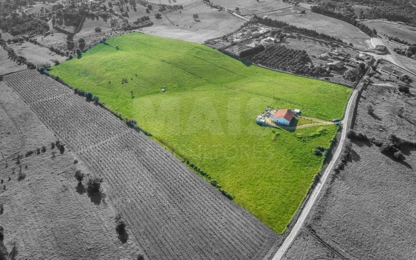 Terreno para Venda em Pontevel Foto 6
