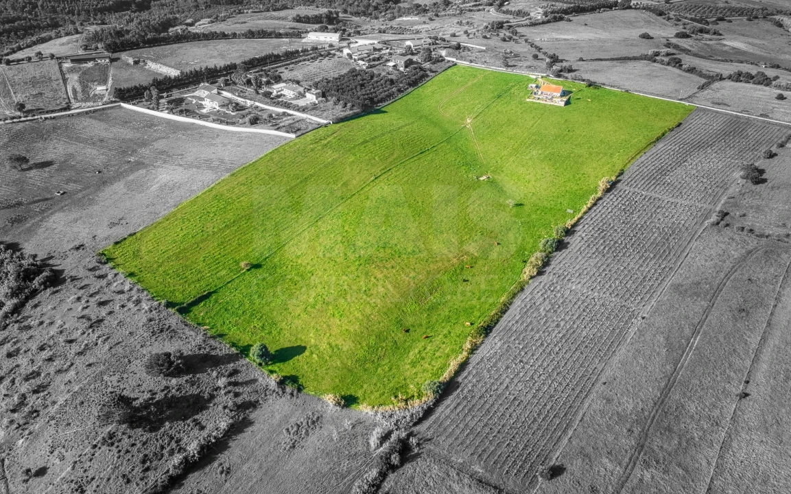 Terreno para Venda em Pontevel Foto 4