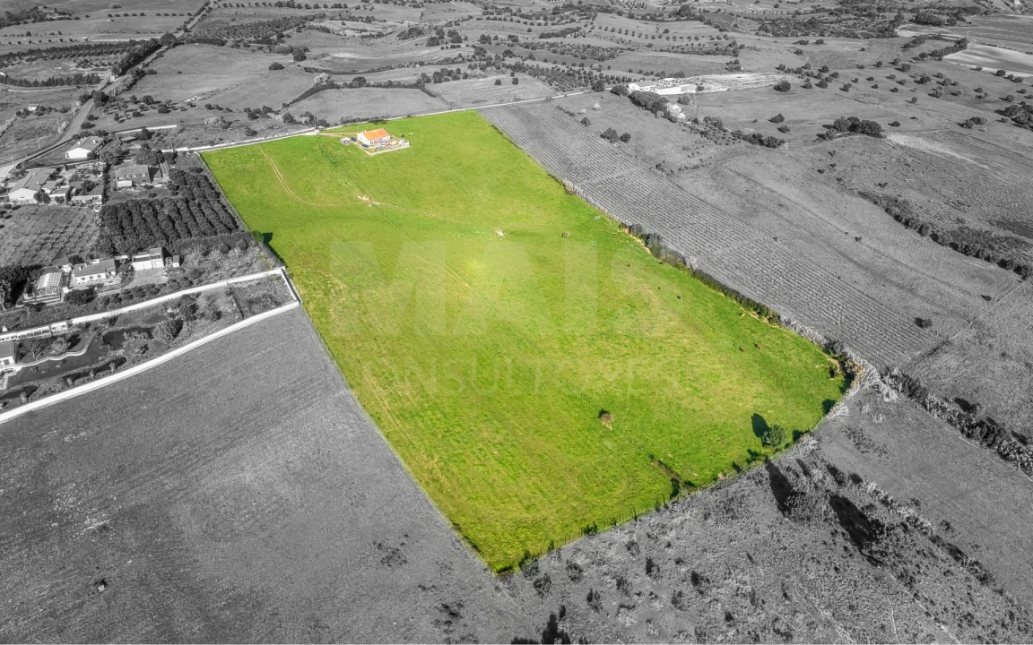 Terreno para Venda em Pontevel Foto 3