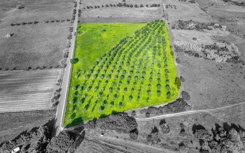 Terreno para Venda em Pontevel Foto 4