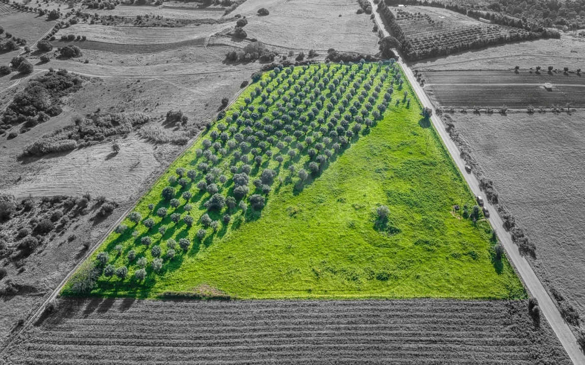 Terreno para Venda em Pontevel Foto 2