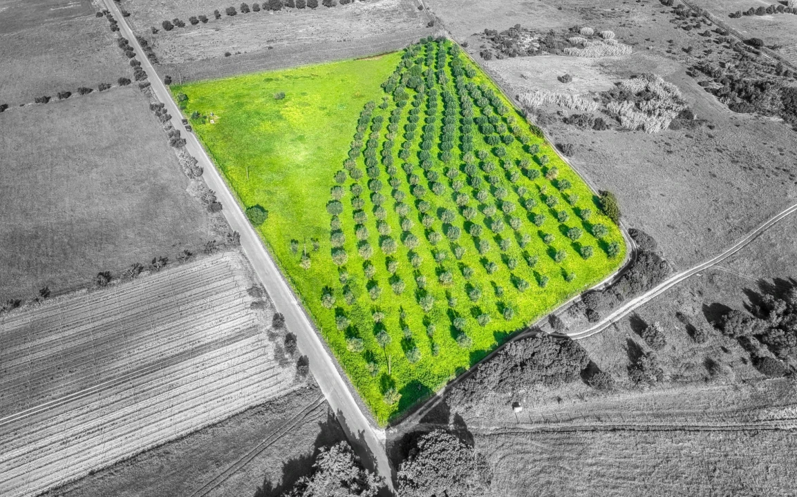 Terreno para Venda em Pontevel Foto 5