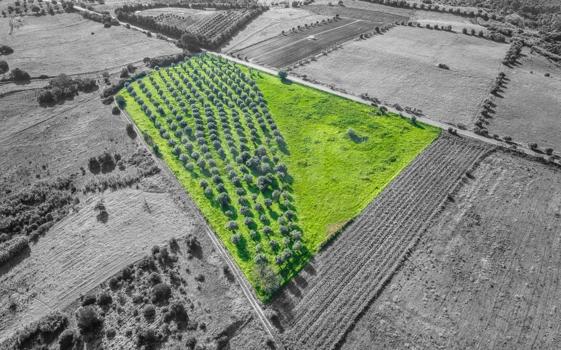 Terreno para Venda em Pontevel Foto 3