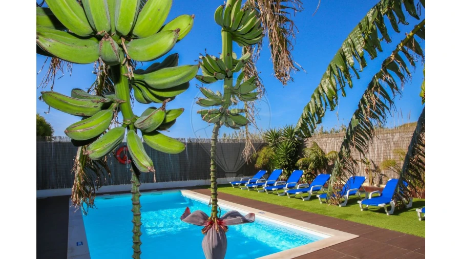 Moradia T3 para Arrendamento em São Pedro da Cadeira Foto 44