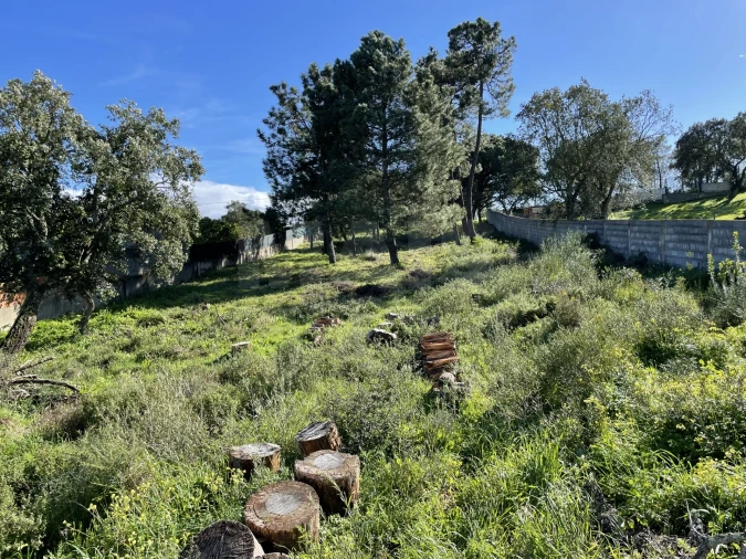 Terreno para Venda em Alhos Vedros Foto 8