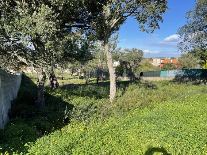 Terreno para Venda em Alhos Vedros Foto 1