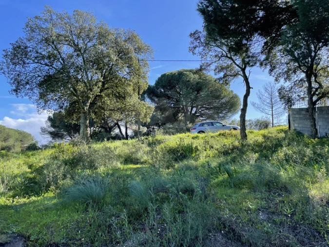 Terreno para Venda em Alhos Vedros Foto 5