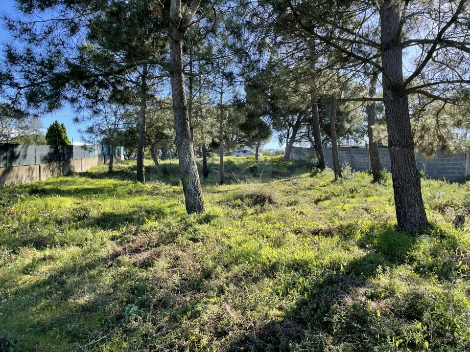 Terreno para Venda em Alhos Vedros Foto 9