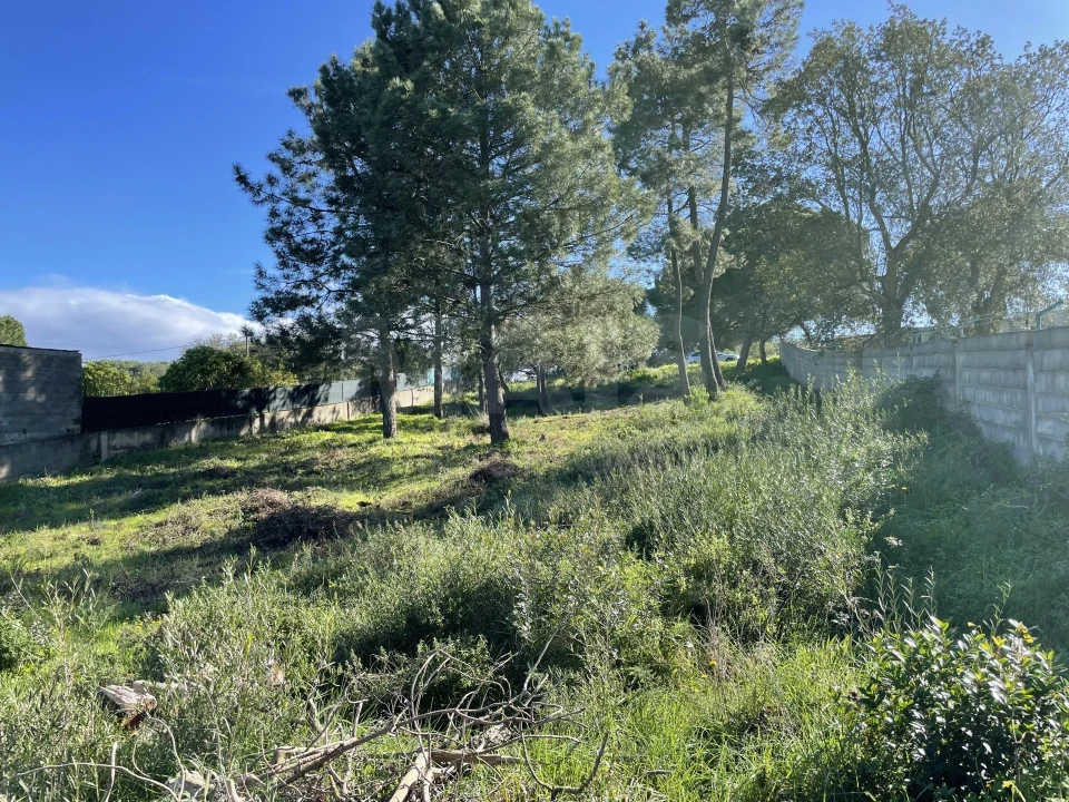 Terreno para Venda em Alhos Vedros Foto 7