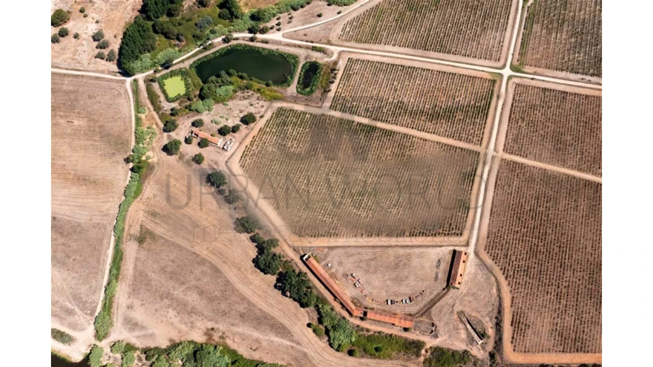 Quinta para Venda em Cabeção Foto 4