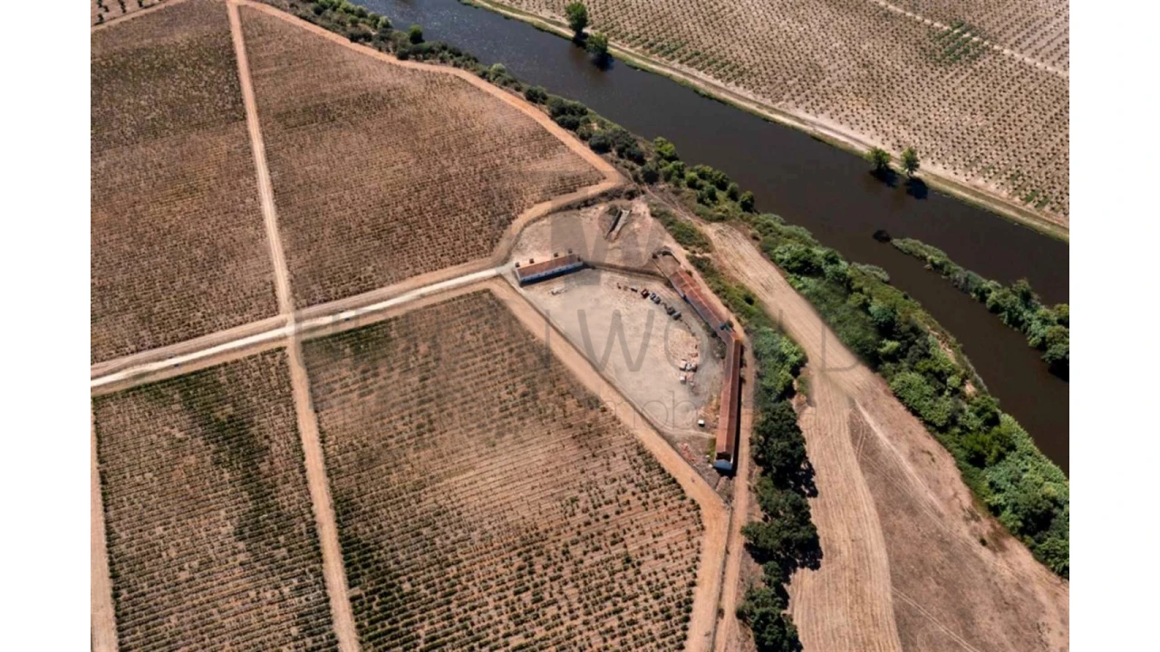 Quinta para Venda em Cabeção Foto 6